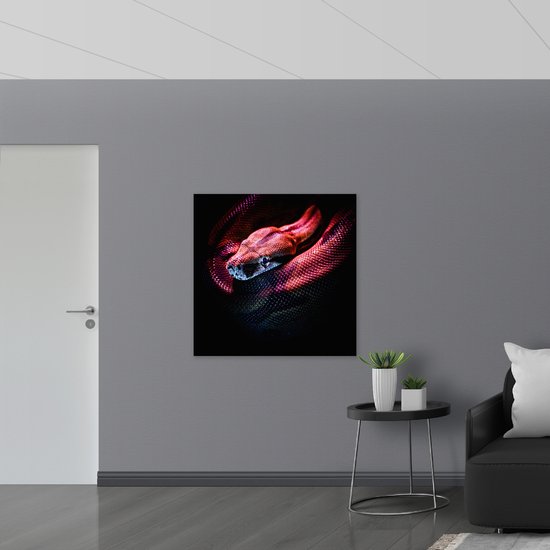 WallClassics - Verre acrylique - Serpent rouge sur fond noir - Photo 100 x 100 cm sur verre acrylique (avec système de suspension)