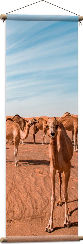 WallClassics - Textielposter - Vrolijke Kamelen in de Woestijn - 40x120 cm Foto op Textiel