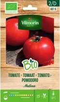 Vilmorin - Tomaat Matina BIO - V487B