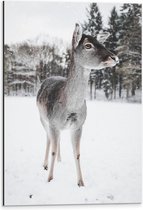 WallClassics - Dibond - Hertje in de Winter - 40x60 cm Foto op Aluminium (Wanddecoratie van metaal)
