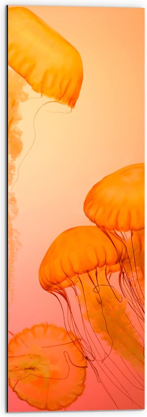 WallClassics - Dibond - Oranje Kwallen - 30x90 cm Foto op Aluminium (Wanddecoratie van metaal)