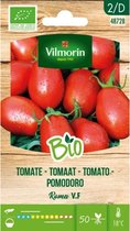 Vilmorin - Tomaat ROma BIO - V4872B