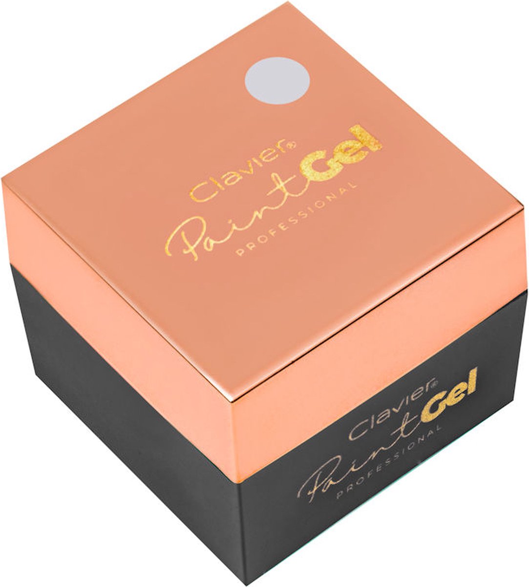 Clavier Paint Gel 5g. #ZILVER