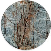 60 cm x 60 cm