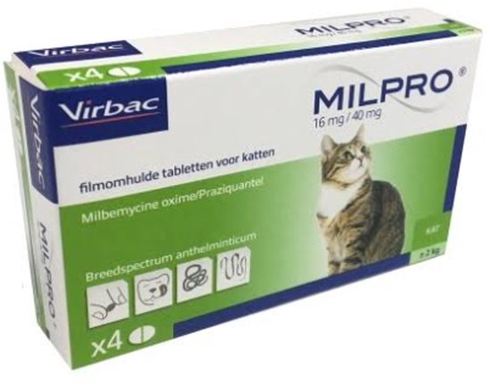 Milpro Grote Kat (+ 2 kg)