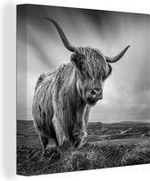 Canvas - Schotse hooglander - Natuur - Koe - Zwart wit - Schilderijen woonkamer - Canvas schilderij - Canvas doek - 20x20 cm - Muurdecoratie
