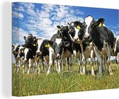 Canvas - Koeien - Koe - Dieren - Natuur - Weiland - Canvas schilderijen - 30x20 cm - wanddecoratie