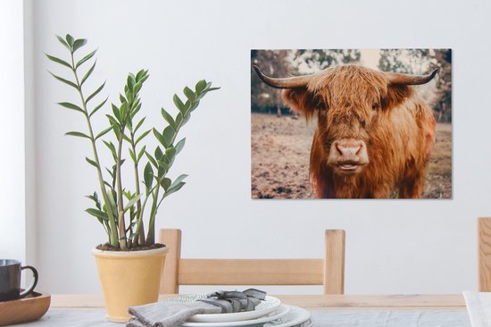 Tableau sur toile - Highlander - Animaux - Vache - Peintures salon - Décoration chambre - Toile toile - 40x30 cm