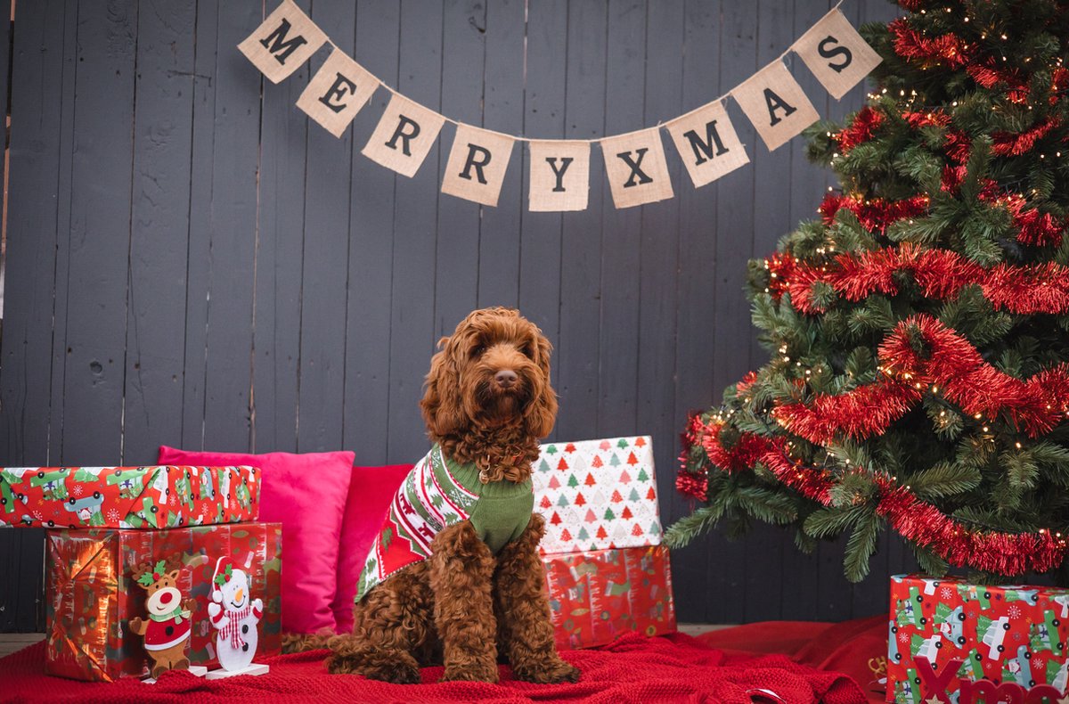 SUPJADE 2 stuks kersttrui voor honden - trui kat kerstkleding outfit kleding voor de winter warme vakantie Kerstmis huisdier kostuums (Large
