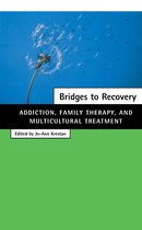 Bridges To Recovery