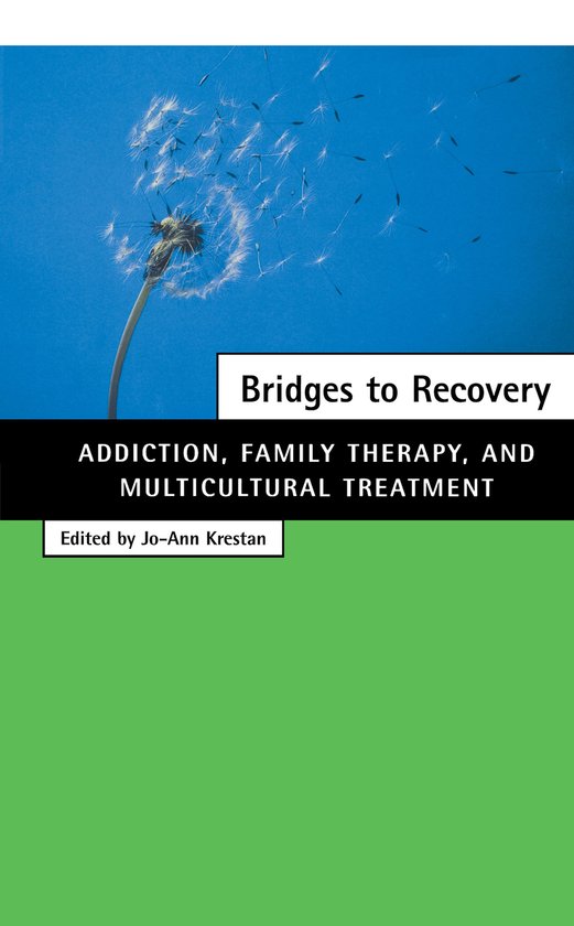 Bridges To Recovery - cover