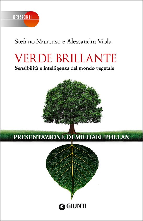 Boek kaft met een groene boom boven een groot groen blad. Titel: VERDE BRILLANTE.