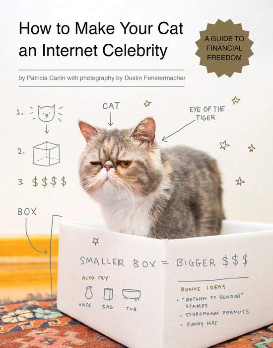 How To Make Yr Cat An Internet Celebrit