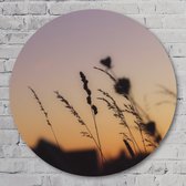 Sunset heath - 50 cm Aluminium Muurcirkel - Landschappen - Wanddecoratie - Rond Schilderij - Wandcirkel