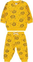Leeuw tweedelige sweater & broek set - Lion Babykleding