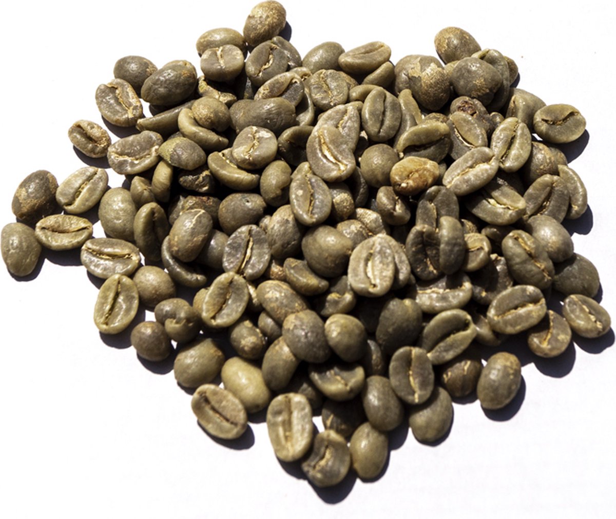 Colombia Arabica Excelso - ongebrande koffiebonen - 1 kilo