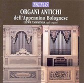 Liuwe Tamminga Organ - Organi Antichi Dell Appennino Bolog (CD)