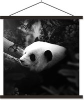 Porte-affiche avec affiche - Affiche scolaire - Animaux - Jungle - Panda - Zwart - Wit - 90x90 cm - Lattes noires