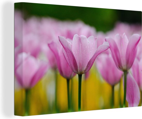 Canvas Schilderij Bloemen - Tulpen - Roze - 60x40 cm - Wanddecoratie