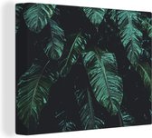 Canvas Schilderij Jungle - Palmboom - Bladeren - Tropisch - 80x60 cm - Wanddecoratie