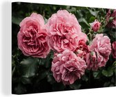 Toile Peinture Rose - Fleurs - Roses - 90x60 cm - Décoration murale