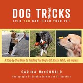 Dog Tricks Even You Can Teach Your Pet - Dog Tricks Even You Can Teach Your Pet