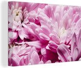 Canvas Schilderij Bloemen - Roze - Natuur - 120x80 cm - Wanddecoratie