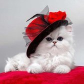 Broderie Diamond 30x30cm - chat au chapeau rouge - pierres rondes