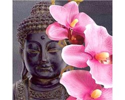 Diamond painting 30x30cm - buddha ( ronde steentjes )