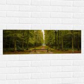 WallClassics - Muursticker - Wandelpad Tussen de Bossen - 90x30 cm Foto op Muursticker