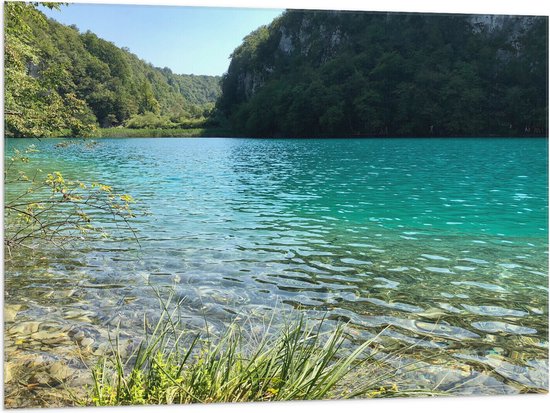 WallClassics - Drapeau - Clear Lake at Forêts - 100x75 cm Photo sur Drapeau Polyester