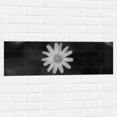 WallClassics - Muursticker - Wit Madeliefje - 90x30 cm Foto op Muursticker
