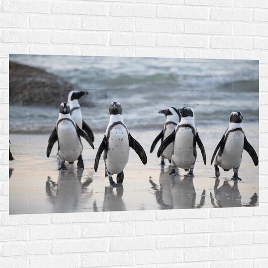 WallClassics - Muursticker - Waggelende Pinguïns op het Strand - 120x80 cm Foto op Muursticker