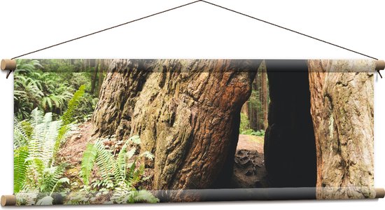 WallClassics - Affiche textile - Cachette dans un arbre - 90x30 cm Photo sur textile
