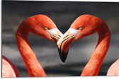 WallClassics - Dibond - Verliefde Flamingo's  - 75x50 cm Foto op Aluminium (Met Ophangsysteem)