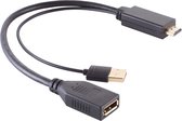 HDMI (m) naar DisplayPort (v) actieve adapter - HDMI 1.4 / DP 1.2 (4K 30Hz) - voeding via USB-A (m) / zwart - 0,30 meter