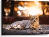 WallClassics - Canvas  - Luie Poes - 100x75 cm Foto op Canvas Schilderij (Wanddecoratie op Canvas)