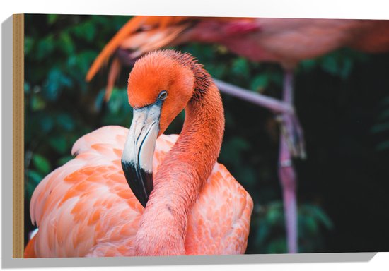 WallClassics - Hout - Mooie Roze Flamingo - 60x40 cm - 12 mm dik - Foto op Hout (Met Ophangsysteem)