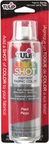 Tulip ColorShot spray de couleur instantanée pour tissus Rouge