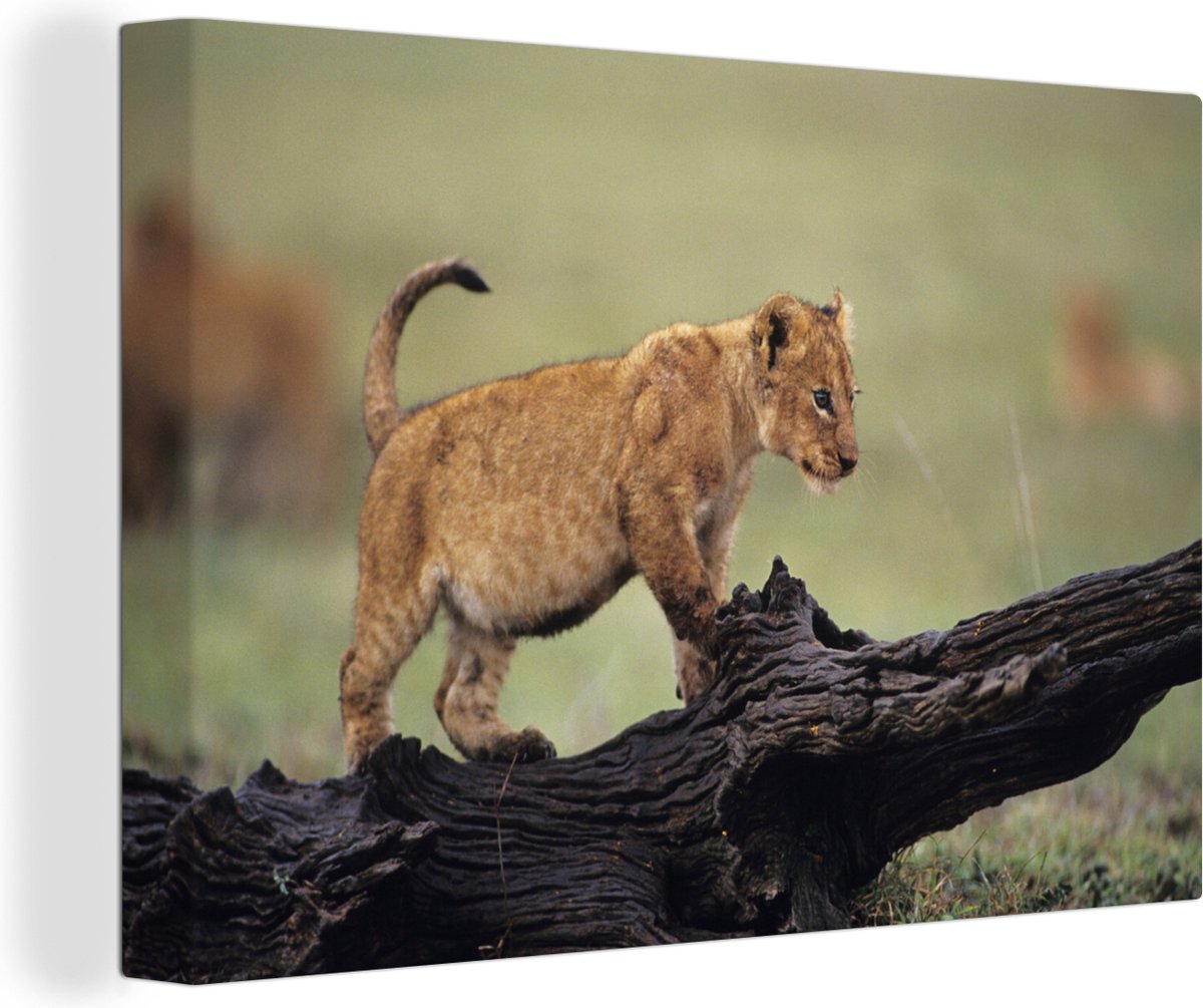 Canvas Schilderij Leeuw - Boomstam - Welp - 120x80 cm - Wanddecoratie