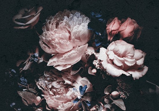 Foto: 