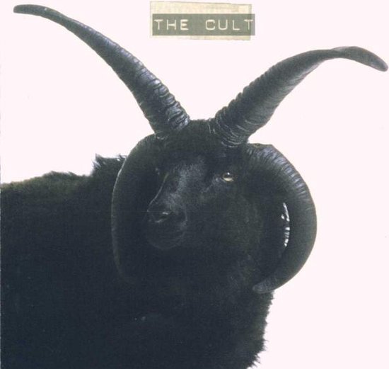 Best Of Rare Cult, The Cult Muziek bol