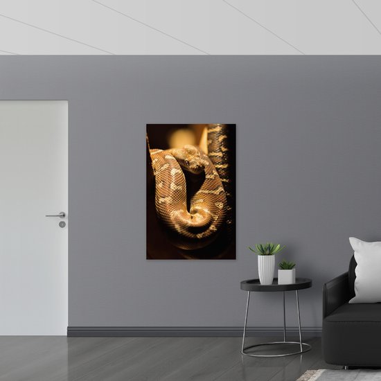Dibond - Bruine Slang - 80x120 cm Foto op Aluminium (Met Ophangsysteem)