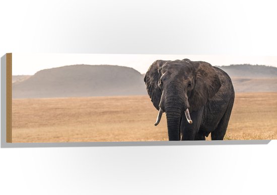 WallClassics - Hout - Afrikaanse Olifant Lopend door het Gras - 90x30 cm - 12 mm dik - Foto op Hout (Met Ophangsysteem)
