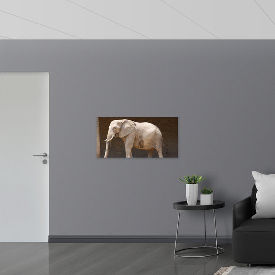 WallClassics - Poster Glossy – Savannah Elephant at a Wall - 100x50 cm Photo sur Papier Poster avec Finition Brillante