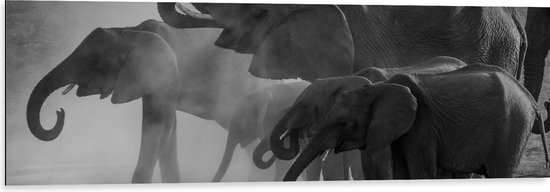 WallClassics - Dibond - Olifanten aan een Meer Zwart / Wit - 120x40 cm Foto op Aluminium (Wanddecoratie van metaal)