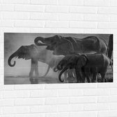 WallClassics - Muursticker - Olifanten aan een Meer Zwart / Wit - 100x50 cm Foto op Muursticker