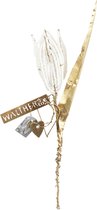 Walther & Co - Tulp Kraaltjes - Wit - Goud
