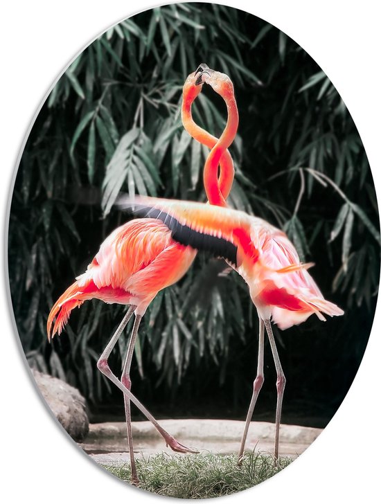 WallClassics - PVC Schuimplaat Ovaal - Dansende Flamingo's - 42x56 cm Foto op Ovaal  (Met Ophangsysteem)