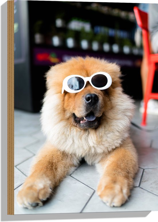 WallClassics - Hout - Coole Hond met Zonnebril - 40x60 cm - 12 mm dik - Foto op Hout (Met Ophangsysteem)